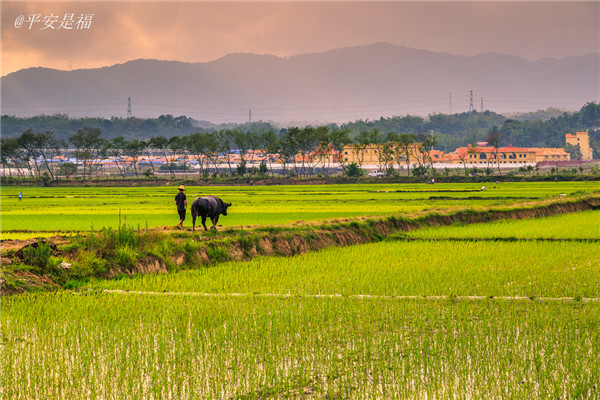 土壤養(yǎng)分速測儀實現(xiàn)用地與養(yǎng)地相結合 土壤養(yǎng)分速測儀實現(xiàn)用地與養(yǎng)地相結合