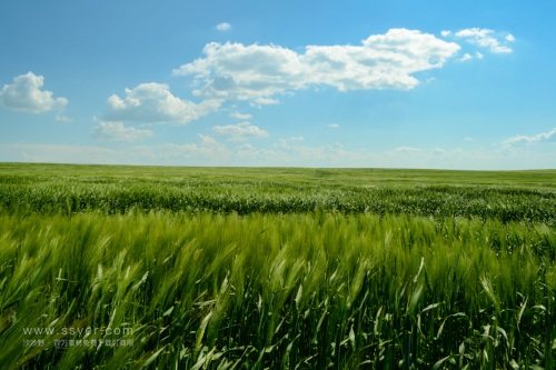 智慧農(nóng)業(yè)帶來了什么？